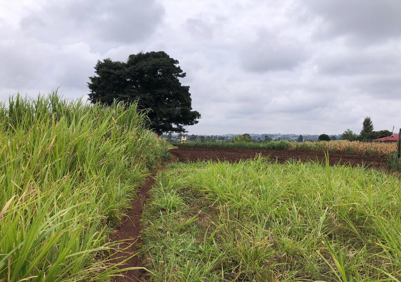 8-Acre Plot for KSh 180M in Kiambu