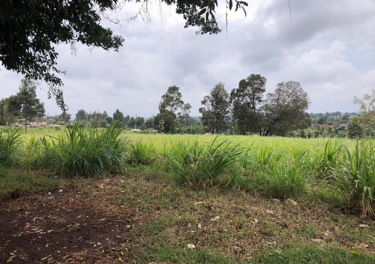 8-Acre Plot for KSh 180M in Kiambu