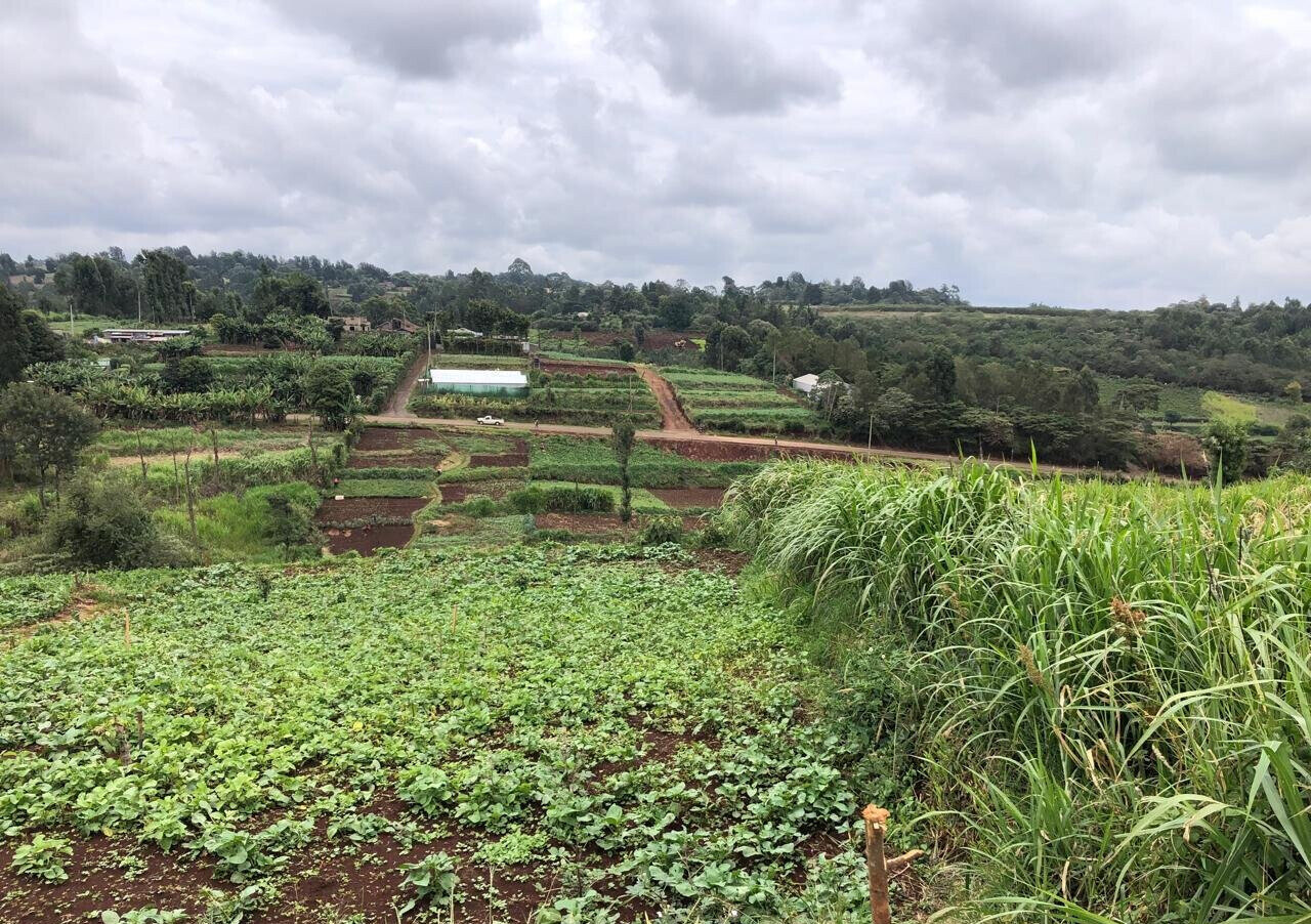 8-Acre Plot for KSh 180M in Kiambu