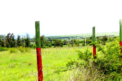 Purchase Prime Residential Kamulu Plots With Title Deeds - Image 2