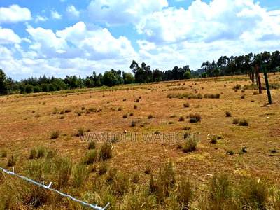 Land for Sale - Image 5