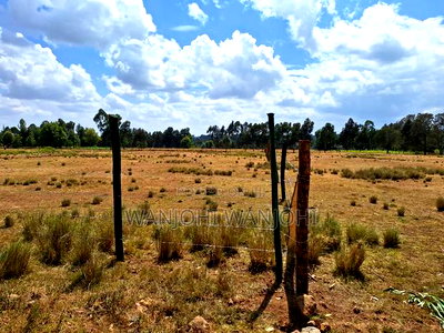 Land for Sale - Image 6