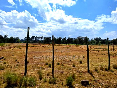 Land for Sale - Image 2