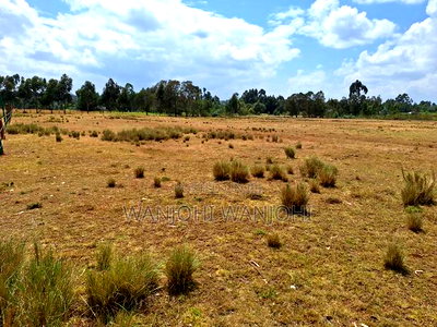 Land for Sale - Image 4