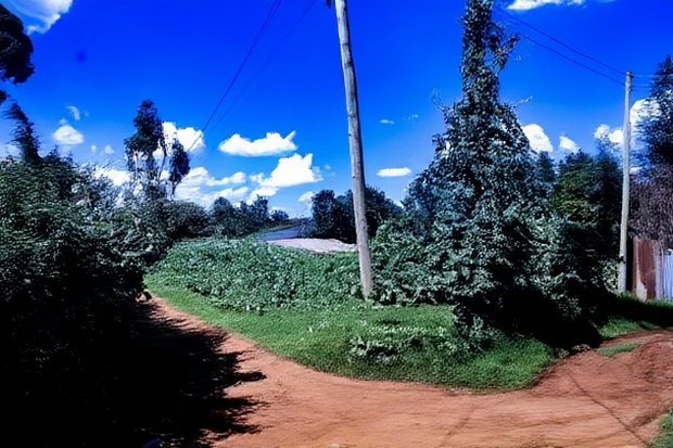 Prime Affordable 1/4 Acre Land for Sale in Ruthigiti Kikuyu