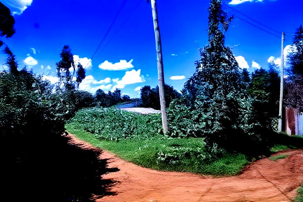 Prime Affordable 1/4 Acre Land for Sale in Ruthigiti Kikuyu