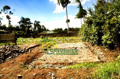 Prime Affordable 1/4 Acre Land for Sale in Ruthigiti Kikuyu - Image 3