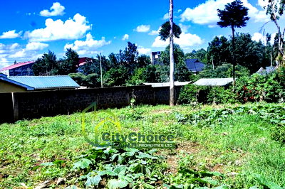 Prime Affordable 1/4 Acre Land for Sale in Ruthigiti Kikuyu - Image 7