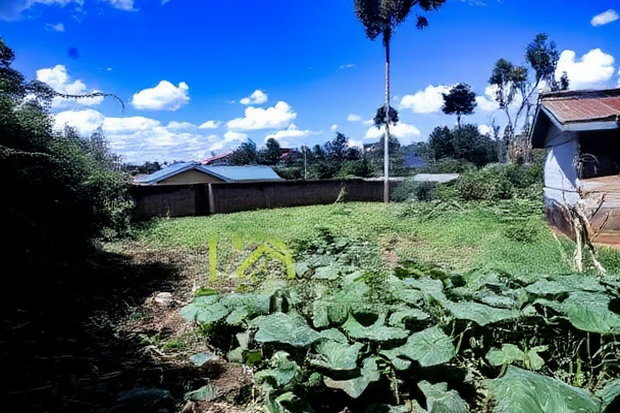 Prime Affordable 1/4 Acre Land for Sale in Ruthigiti Kikuyu