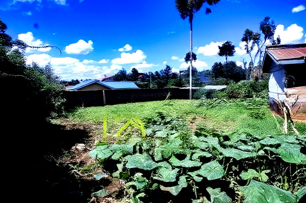 Prime Affordable 1/4 Acre Land for Sale in Ruthigiti Kikuyu