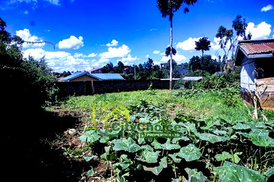 Prime Affordable 1/4 Acre Land for Sale in Ruthigiti Kikuyu - Image 2