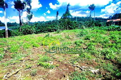 Prime Affordable 1/4 Acre Land for Sale in Ruthigiti Kikuyu - Image 9