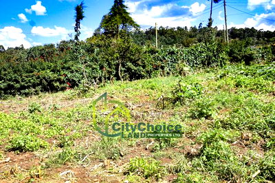 Prime Affordable 1/4 Acre Land for Sale in Ruthigiti Kikuyu - Image 6