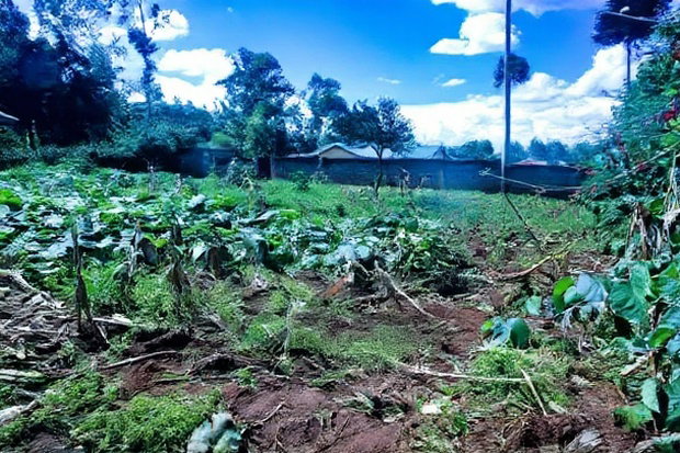 Prime Affordable 1/4 Acre Land for Sale in Ruthigiti Kikuyu