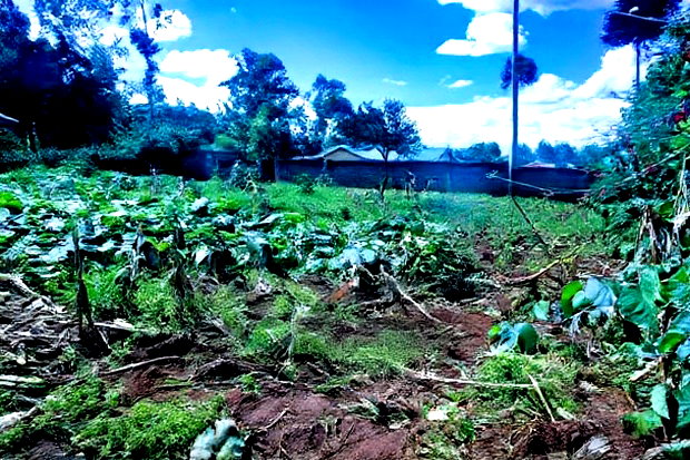 Prime Affordable 1/4 Acre Land for Sale in Ruthigiti Kikuyu