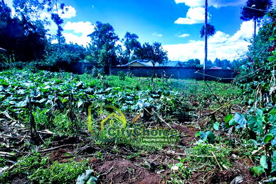 Prime Affordable 1/4 Acre Land for Sale in Ruthigiti Kikuyu - Image 5