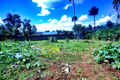 Prime Affordable 1/4 Acre Land for Sale in Ruthigiti Kikuyu - Image 8
