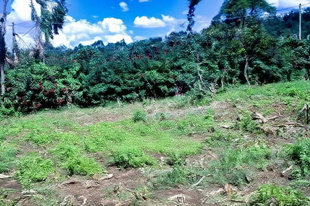 Prime Affordable 1/4 Acre Land for Sale in Ruthigiti Kikuyu