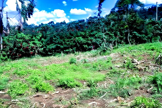 Prime Affordable 1/4 Acre Land for Sale in Ruthigiti Kikuyu