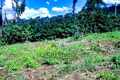 Prime Affordable 1/4 Acre Land for Sale in Ruthigiti Kikuyu - Image 4