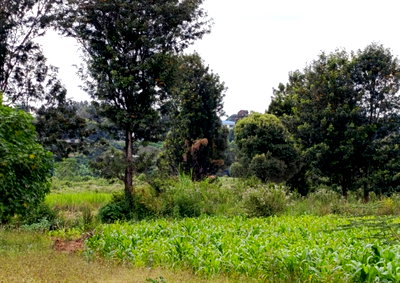 12-Acre Garden Estate in Kileleshwa