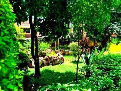 Furnished 2bdrm House in Runda for rent - Image 3