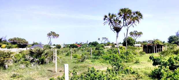 Kombani Kwale Ready Title Plots At