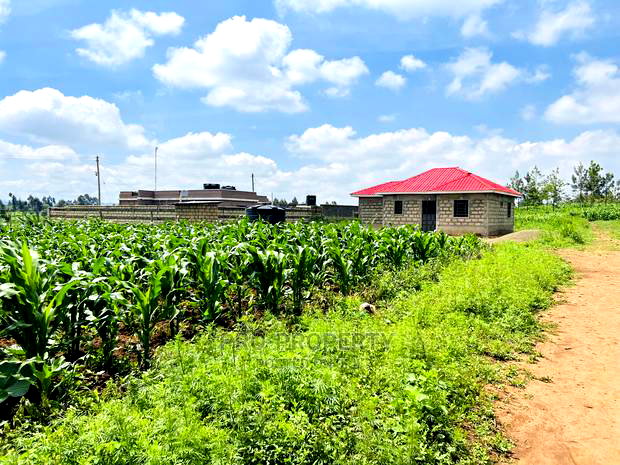 Prime Residential 50x100 Plots for Sale in Kikuyu,Kamangu.