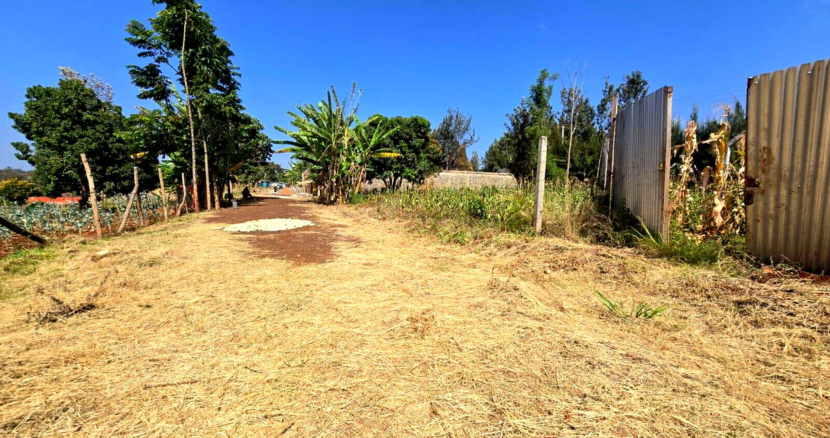Quarter Acre Plot with Garden