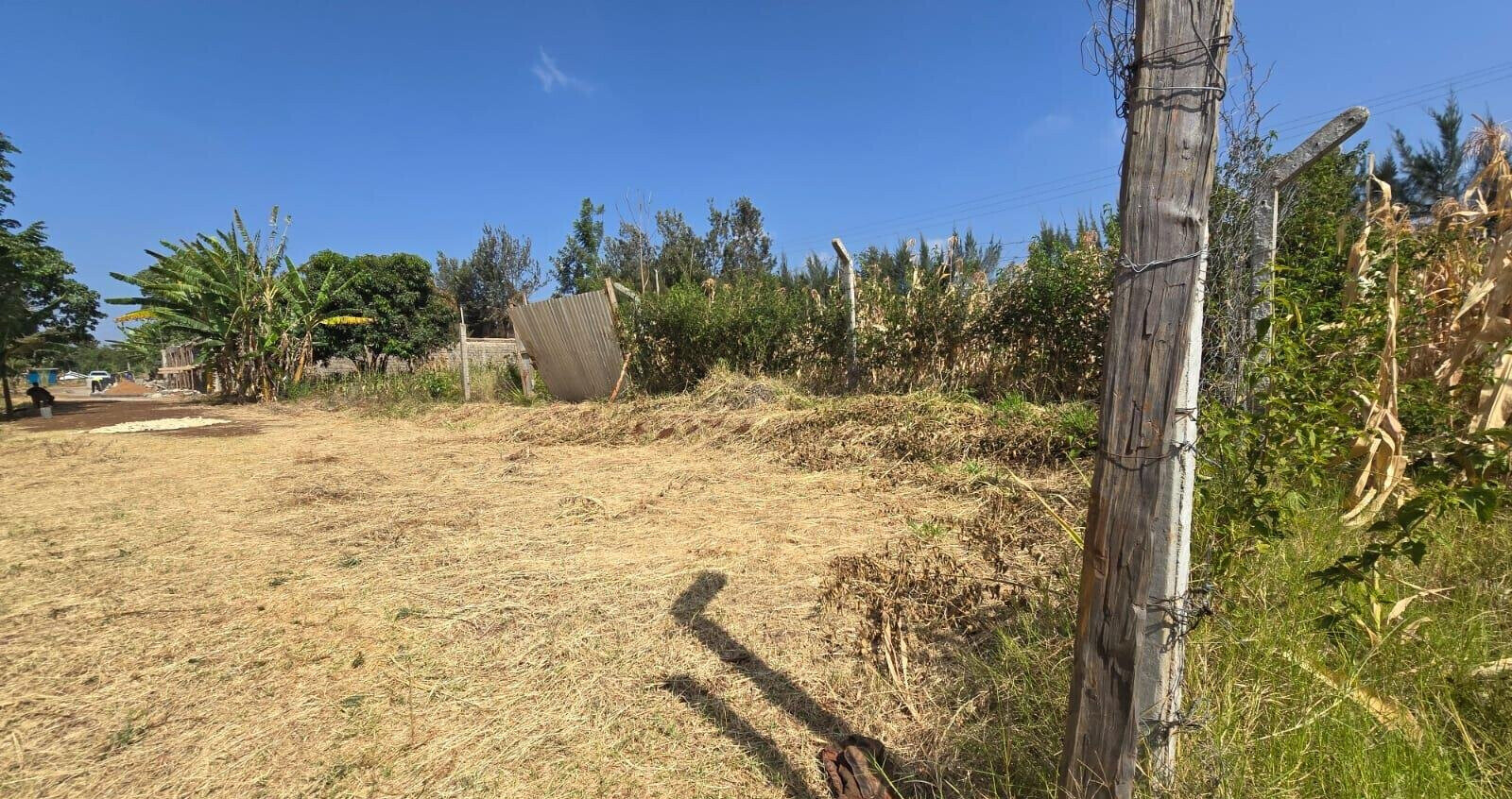 Quarter Acre Plot with Garden