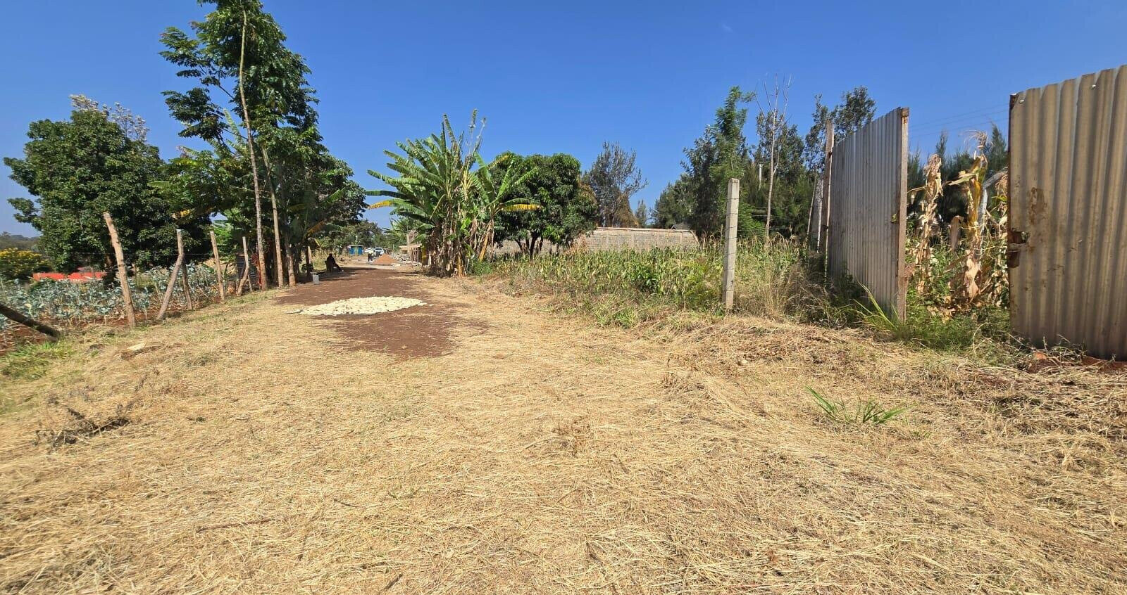 Quarter Acre Plot with Garden