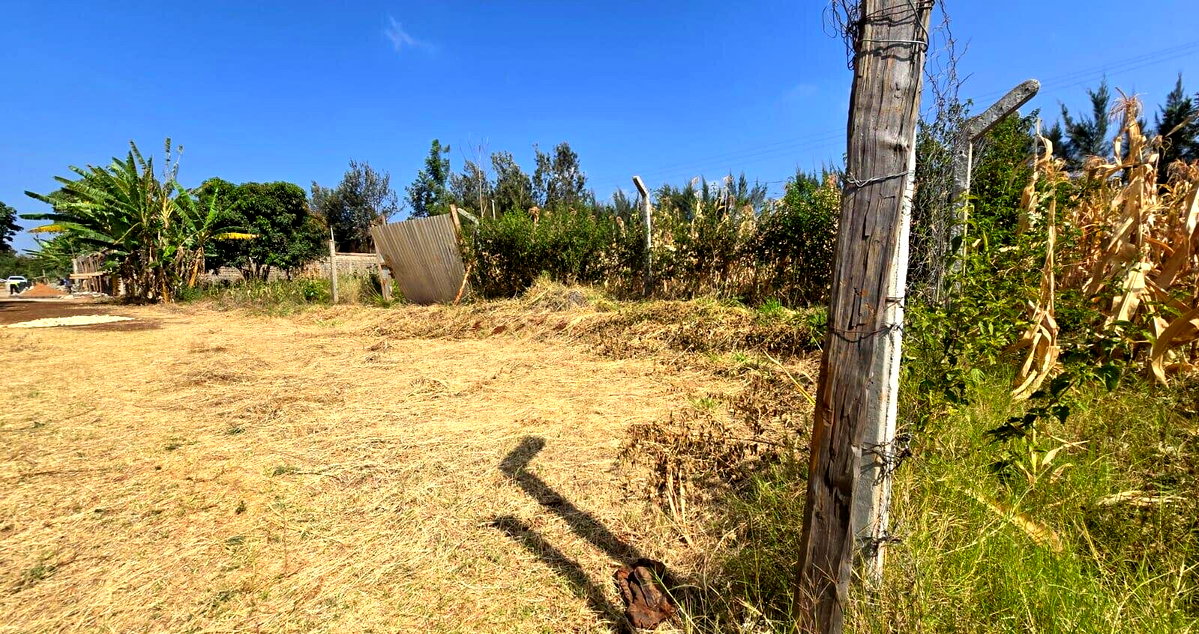 Quarter Acre Plot with Garden
