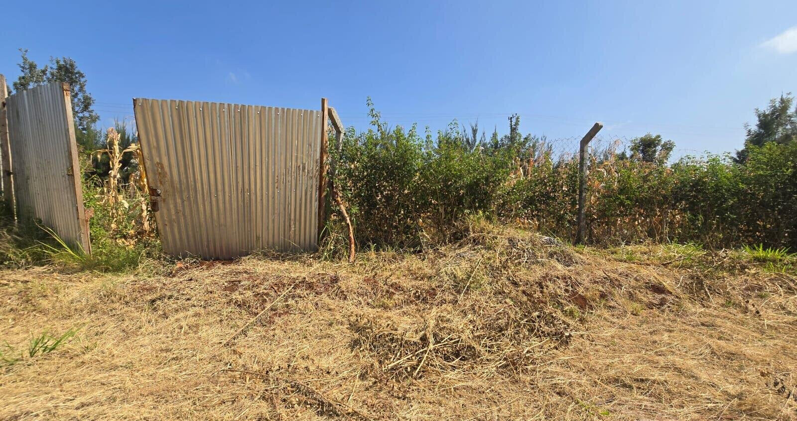Quarter Acre Plot with Garden