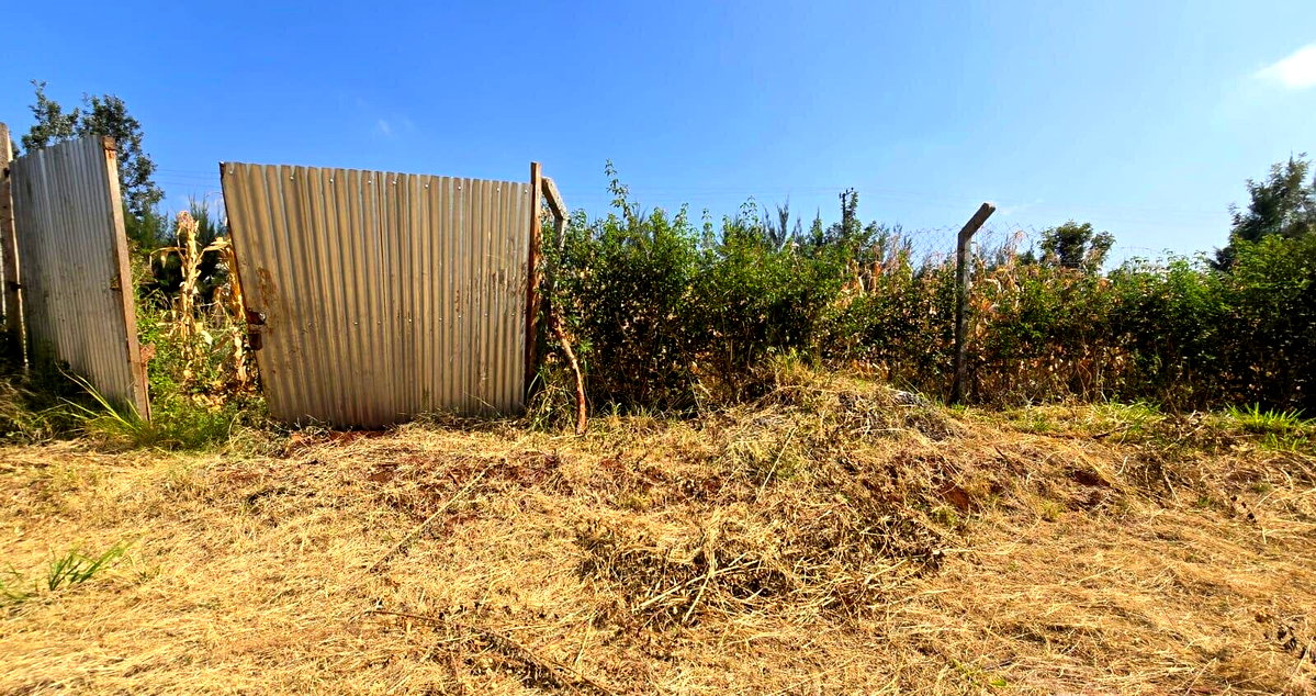 Quarter Acre Plot with Garden