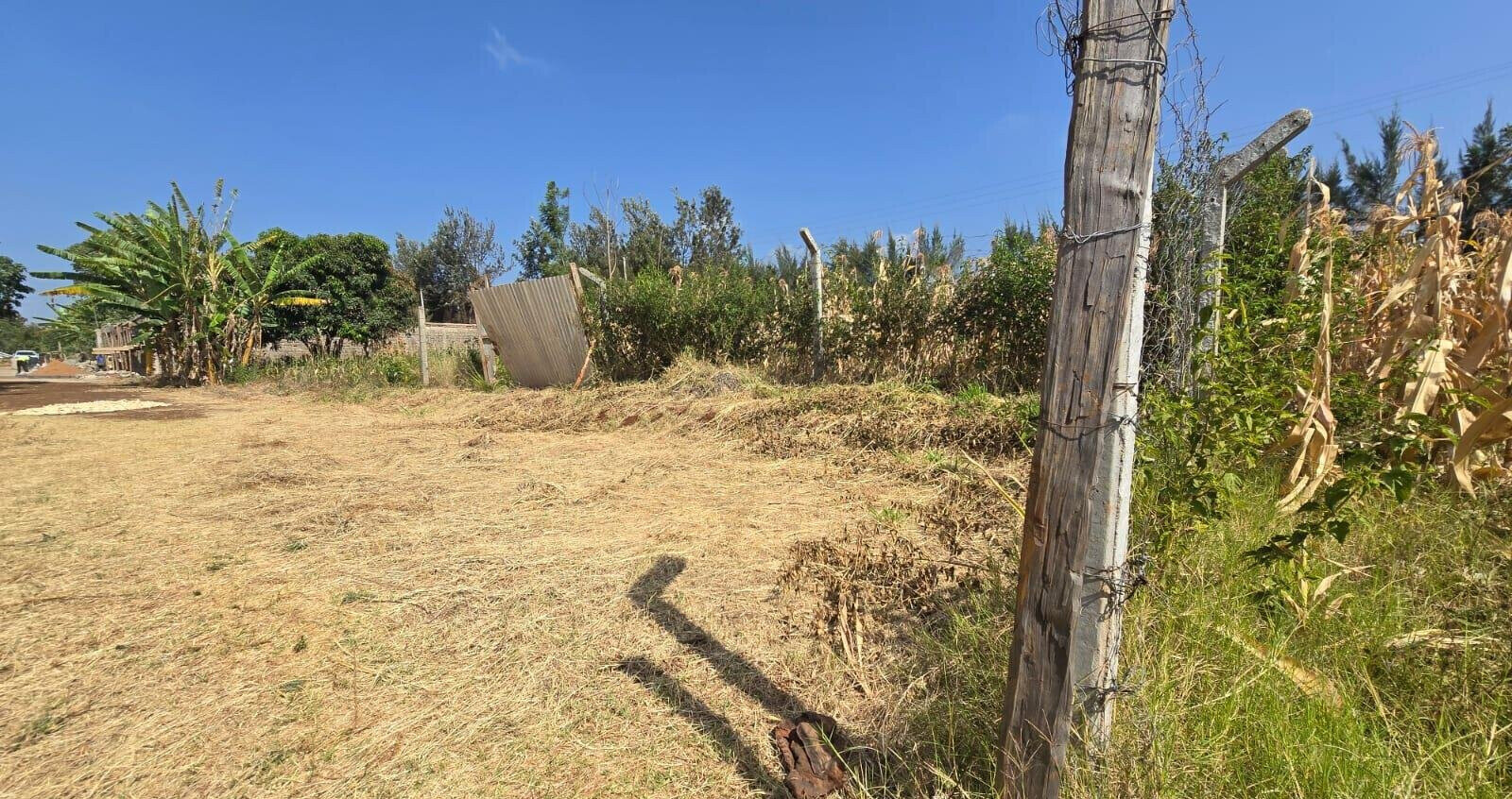 Quarter Acre Plot with Garden