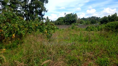 1/4 Plot for Sale at Zambezi Sigona - Image 3