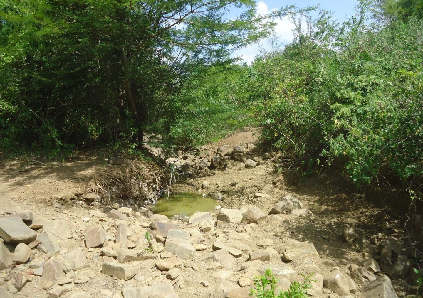 30-Acre Garden Land in Bamburi