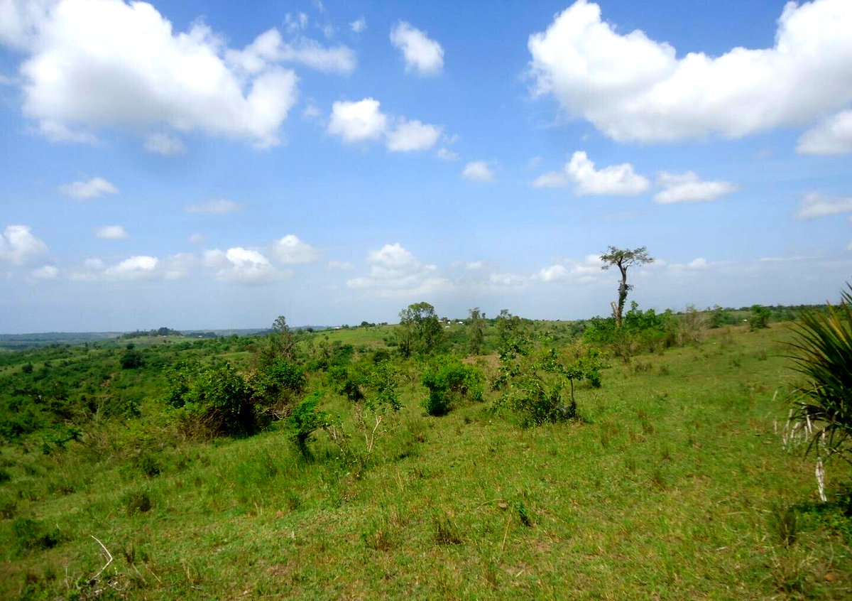 30-Acre Garden Land in Bamburi