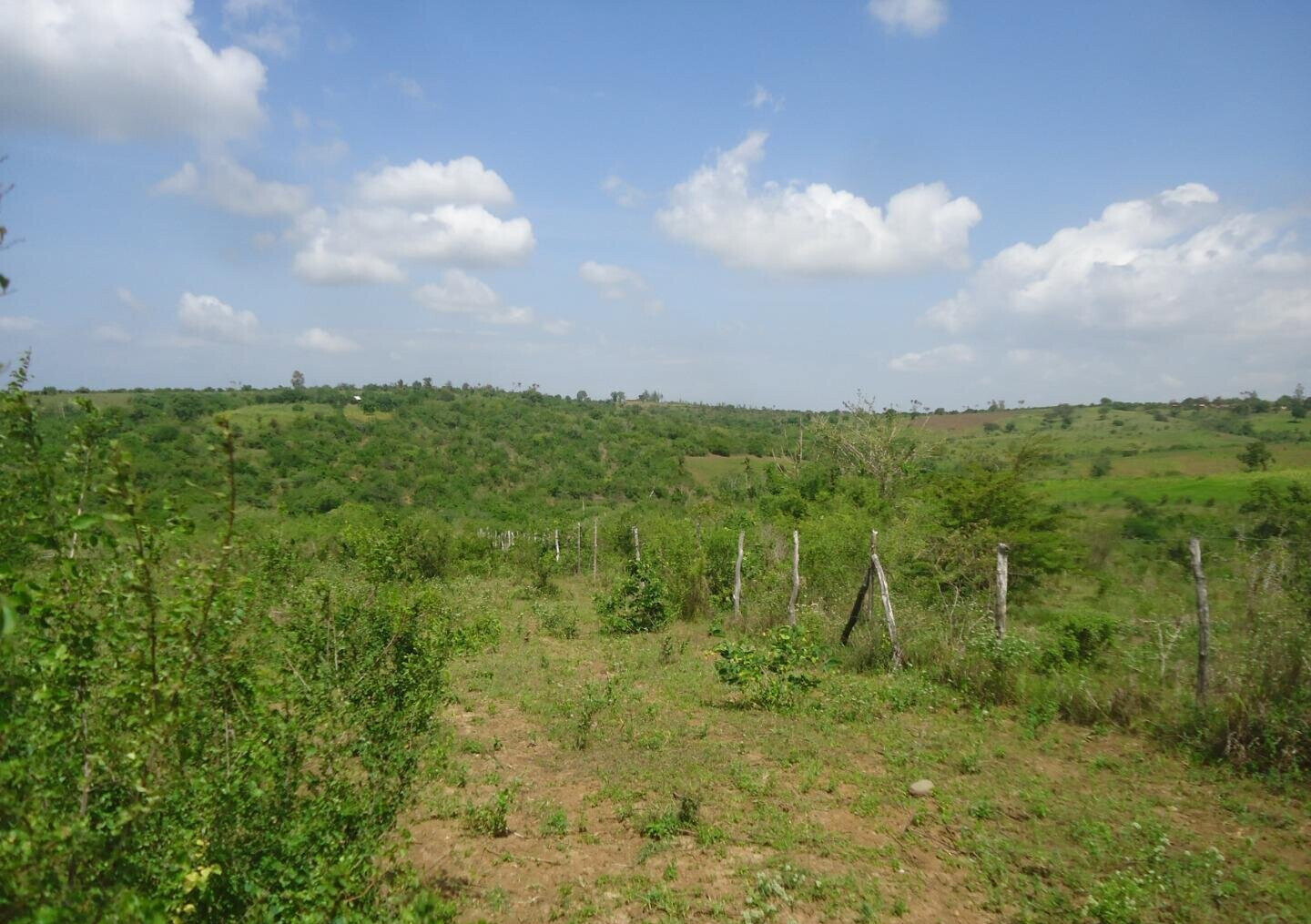 30-Acre Garden Land in Bamburi