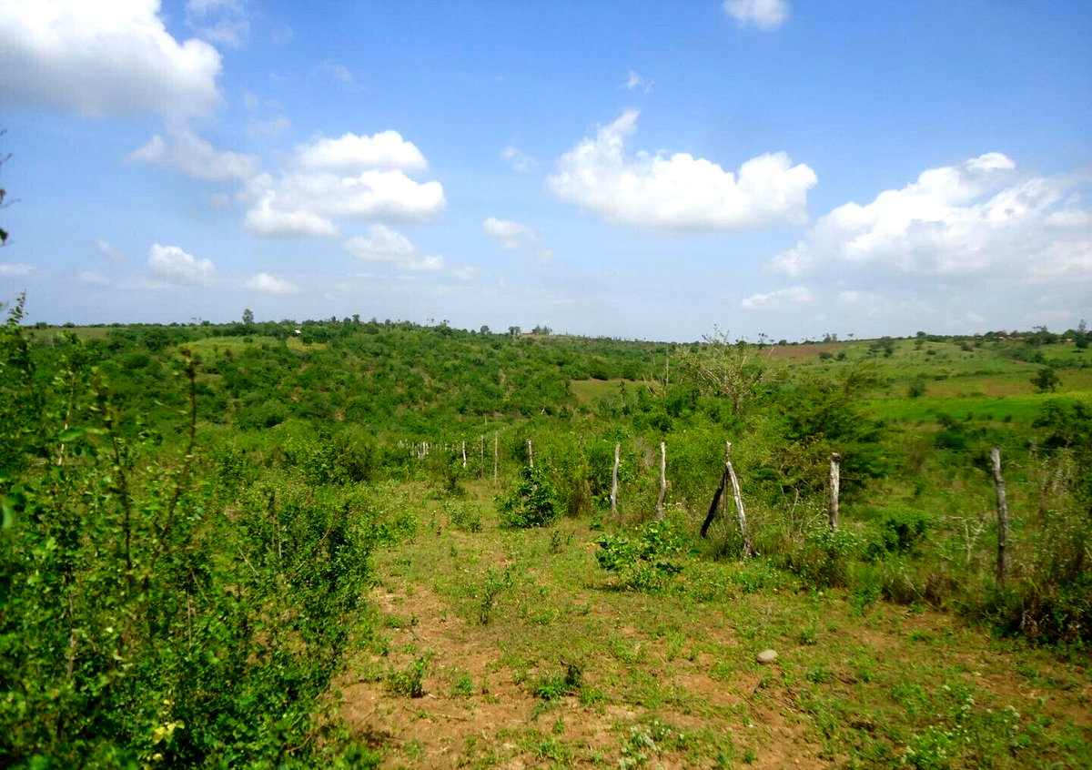 30-Acre Garden Land in Bamburi
