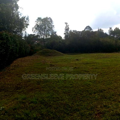 Land for Sale - Image 6