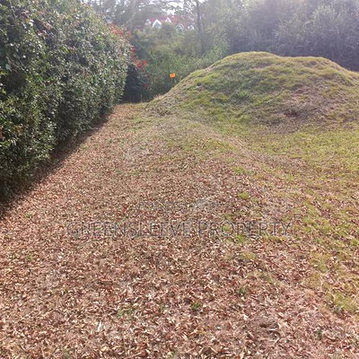 Land for Sale - Image 11