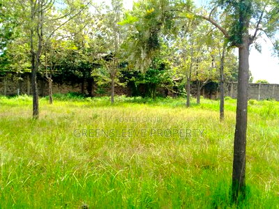 Land for Sale - Image 3