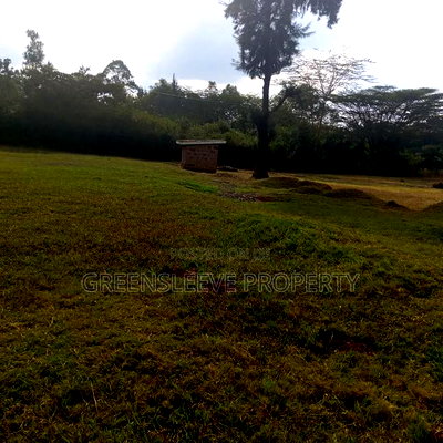Land for Sale - Image 10