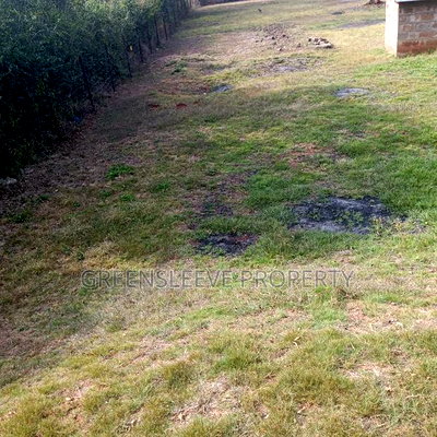 Land for Sale - Image 12