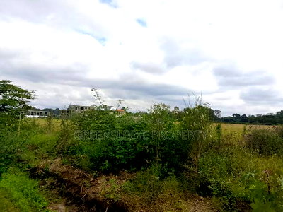 Land for Sale - Image 5