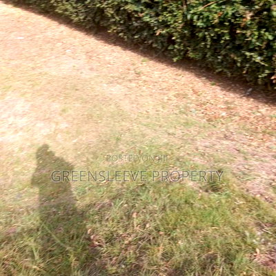 Land for Sale - Image 14