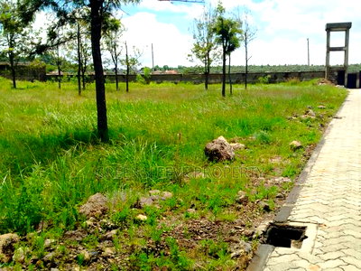 Land for Sale - Image 2