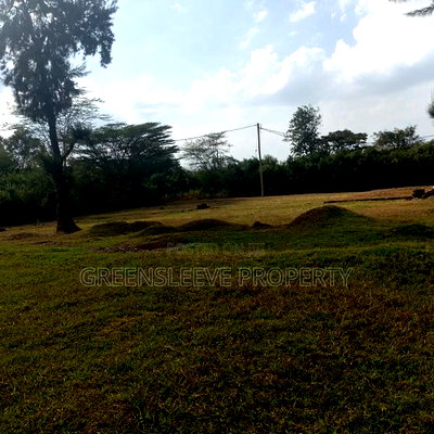 Land for Sale - Image 8