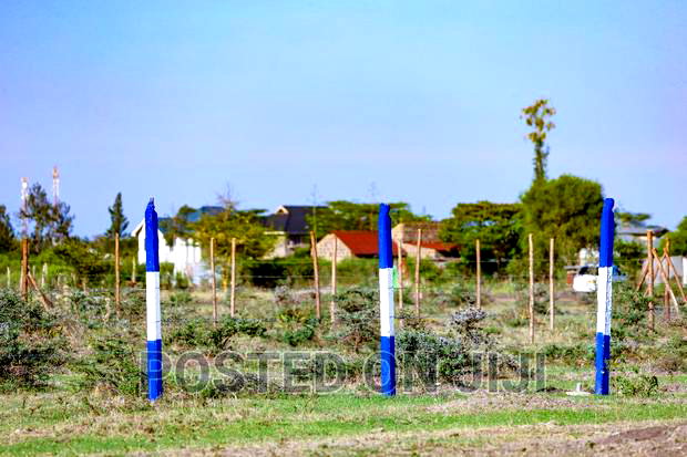 Kamakis Prime Area